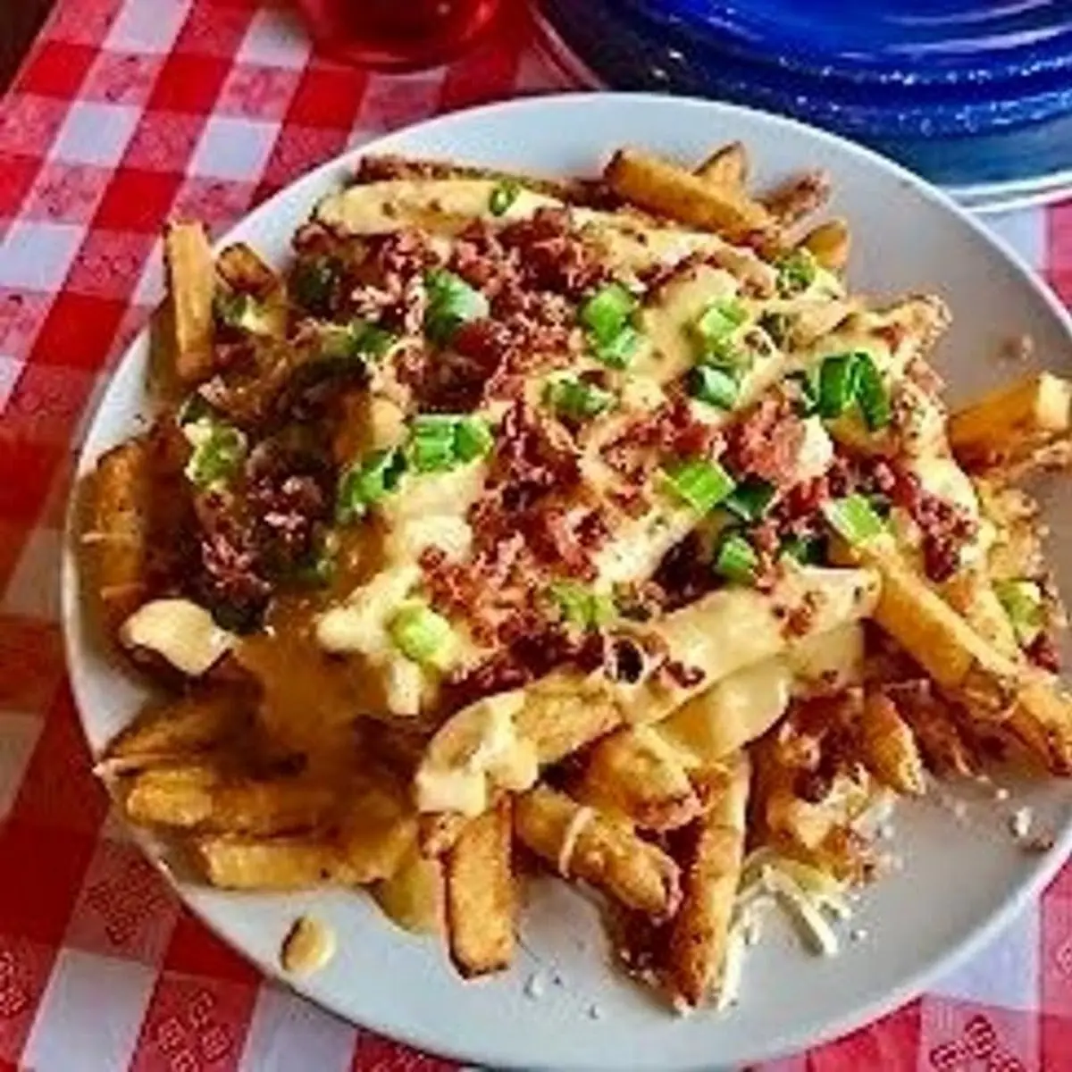 Loaded Fries