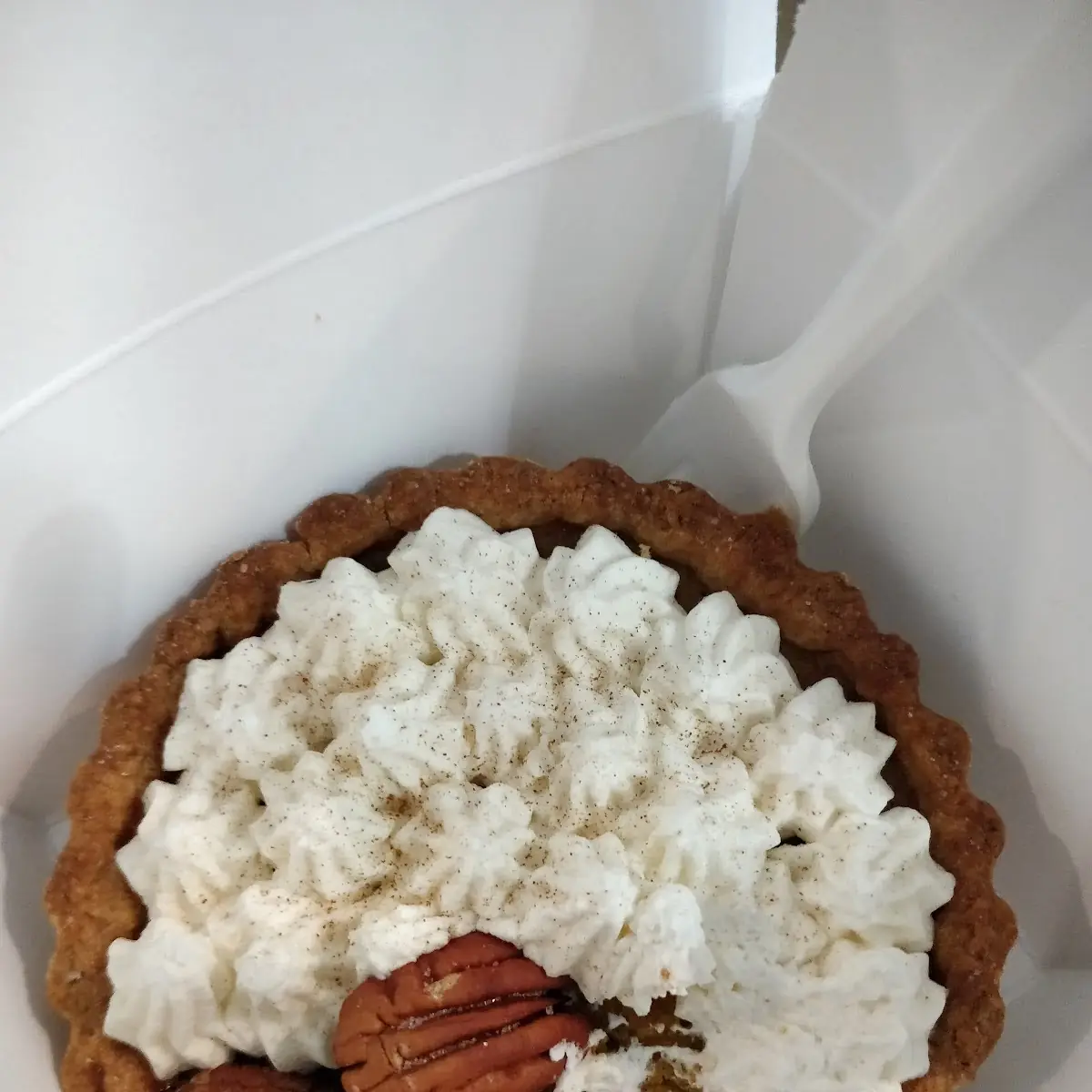 Pumpkin Pie