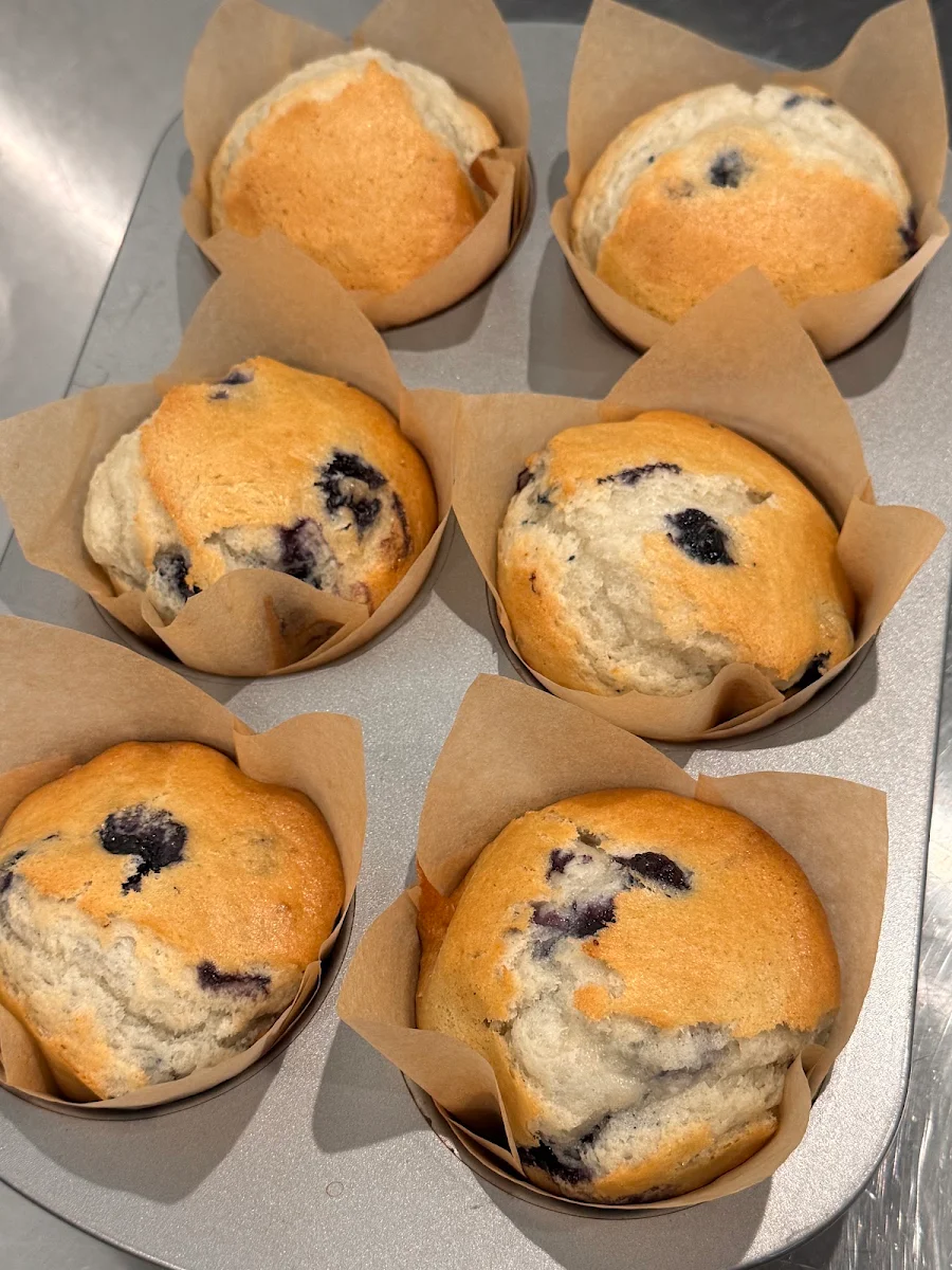 Blueberry Muffin