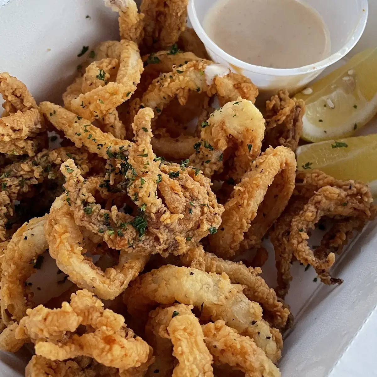 Crispy Calamari
