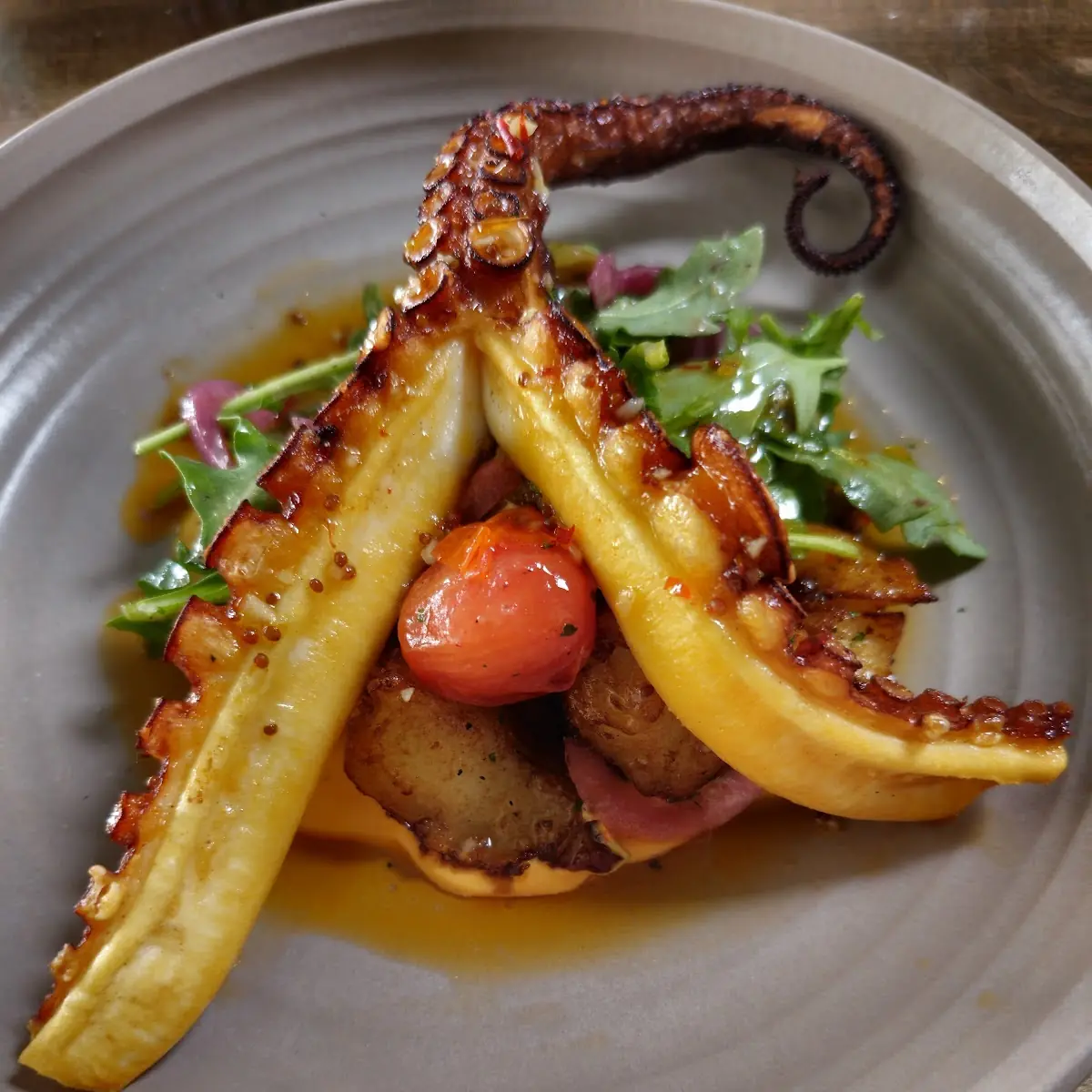 Octopus Salad Special