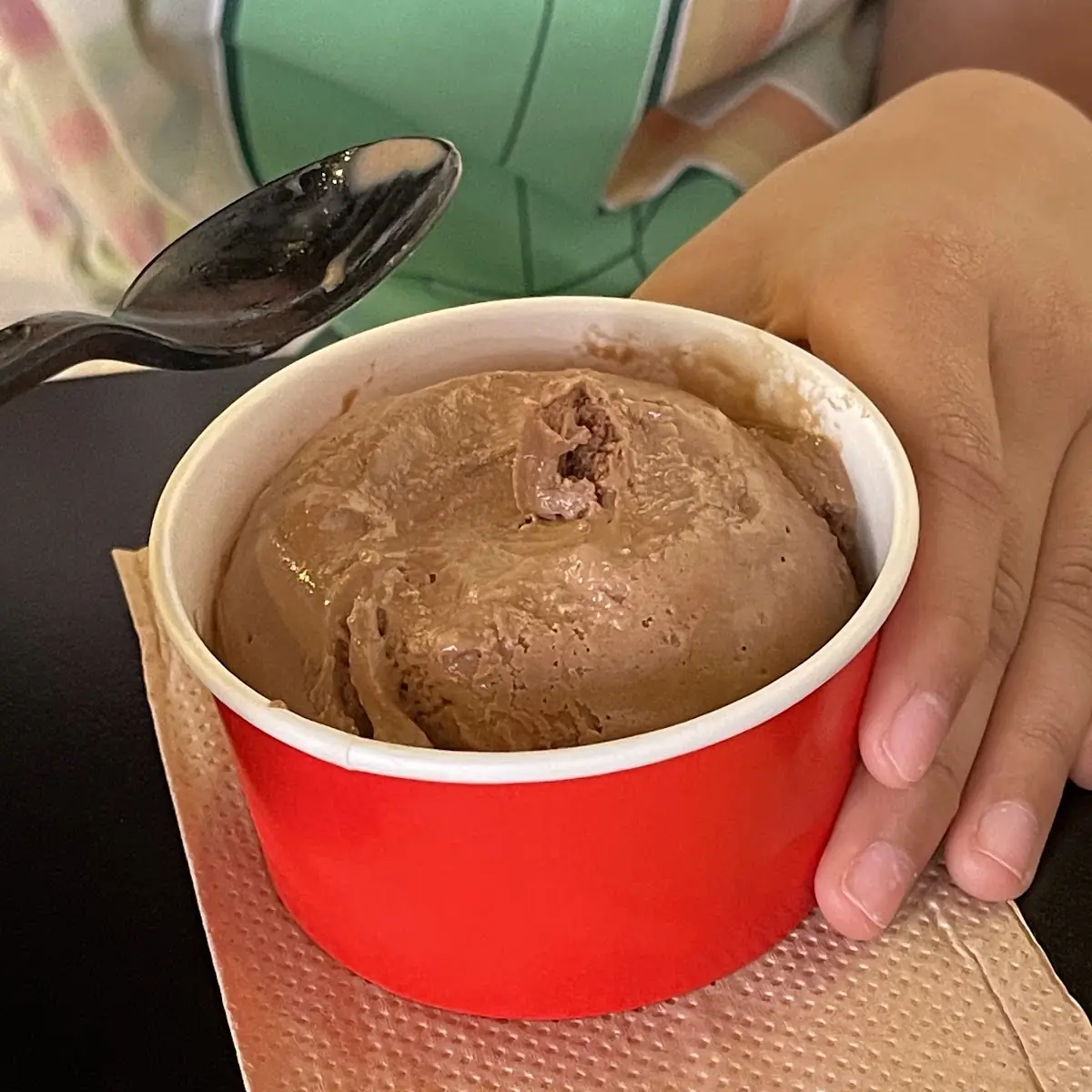 Chocolate Ice Cream