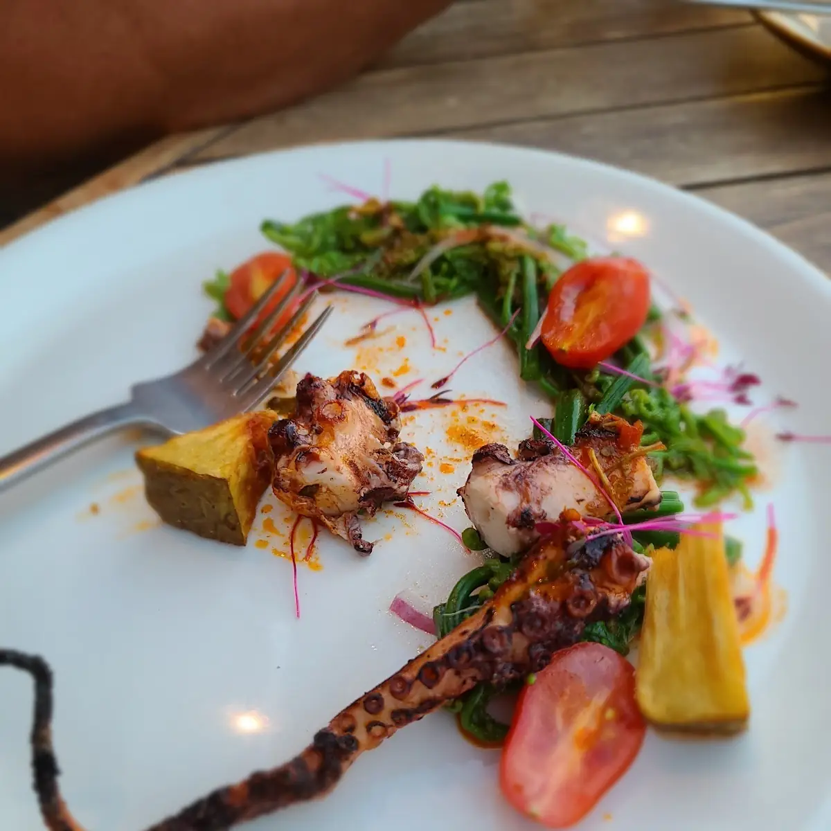 Grilled Octopus