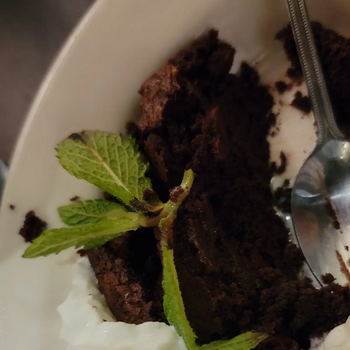 Chocolate Cake