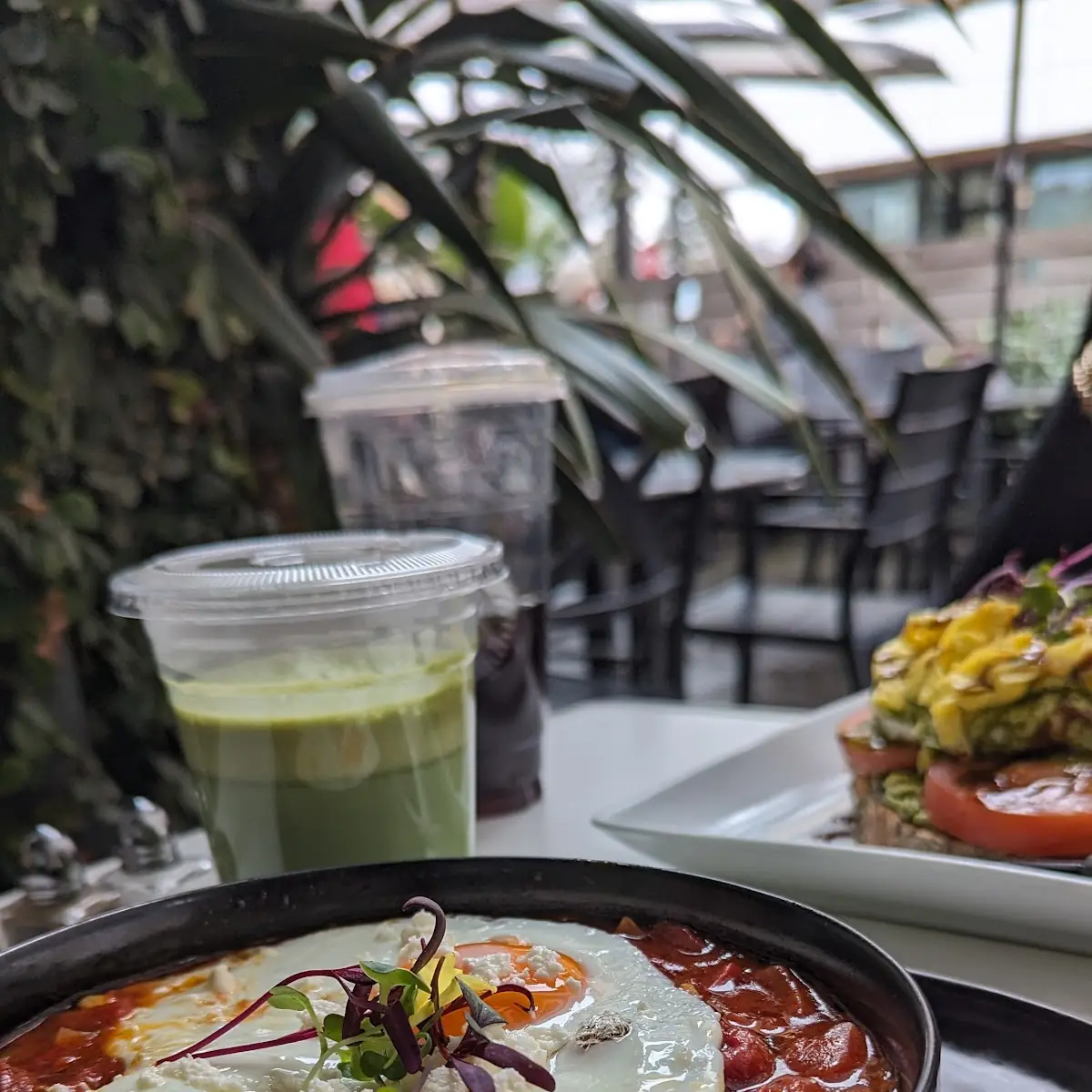 Shakshuka