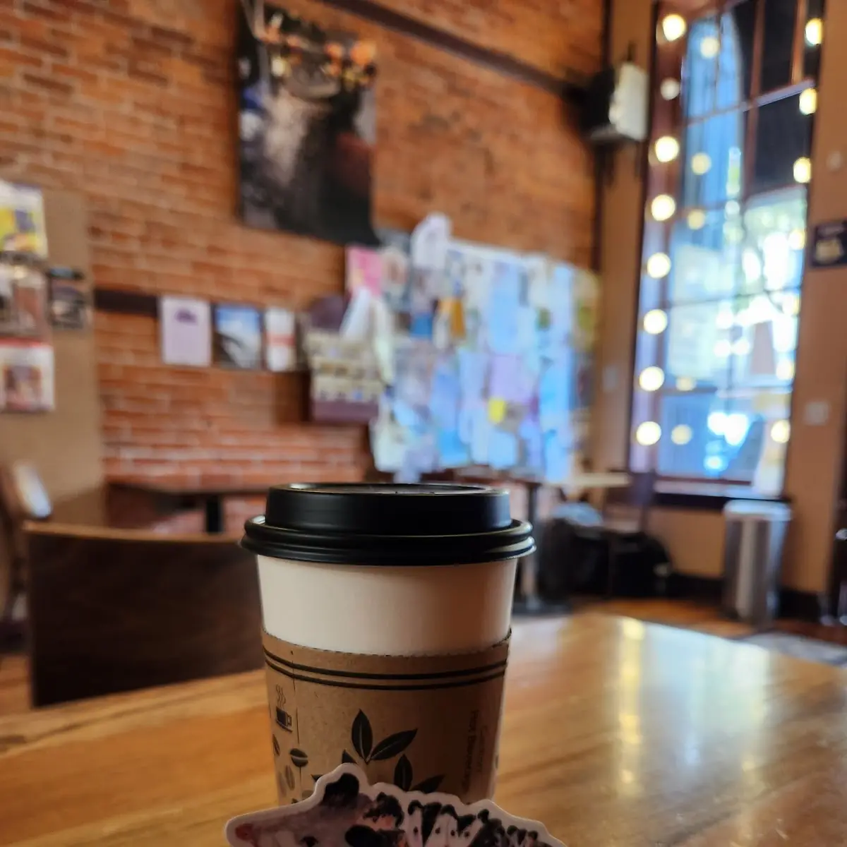 Medium Roast Drip Coffee