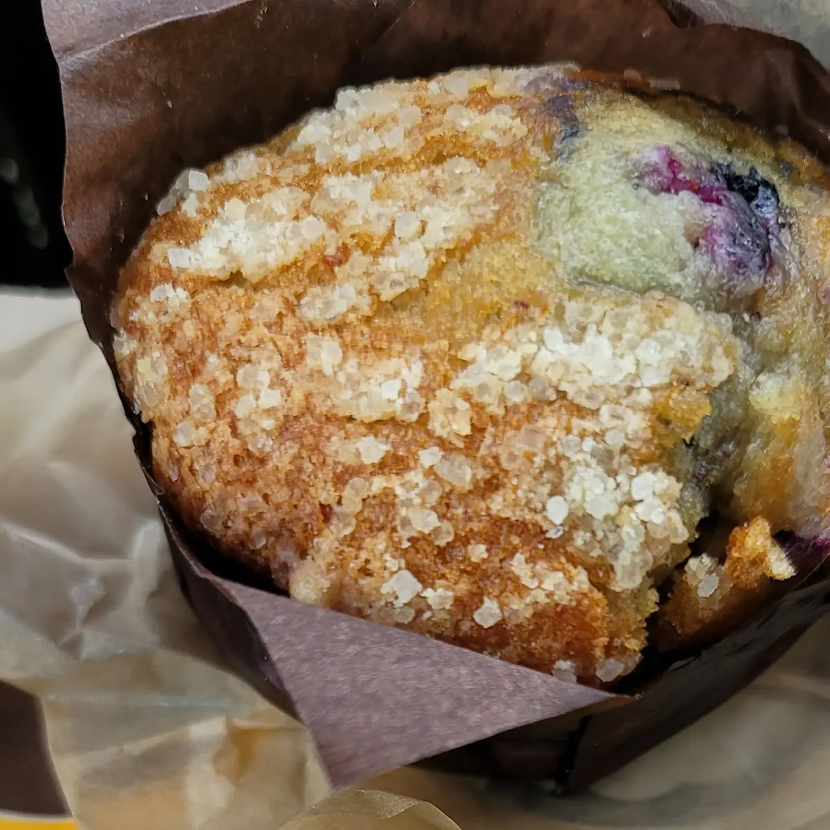 Blueberry Muffin