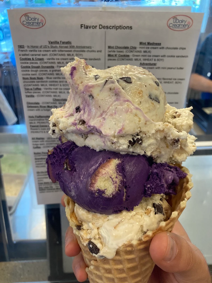 Homemade Waffle Cone