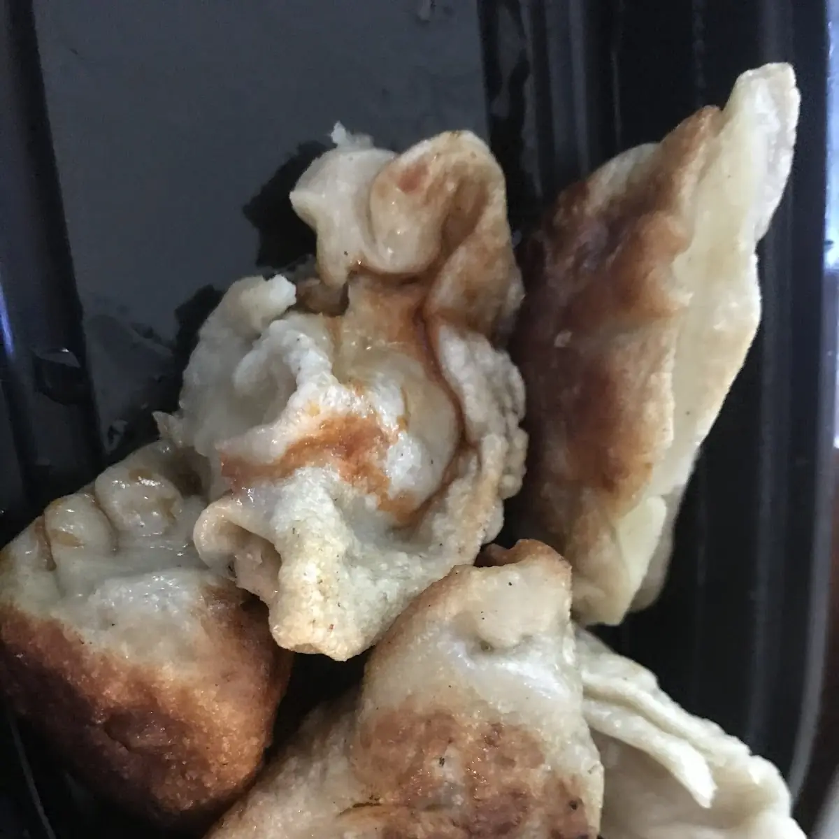 Fried Dumplings or Steamed 8