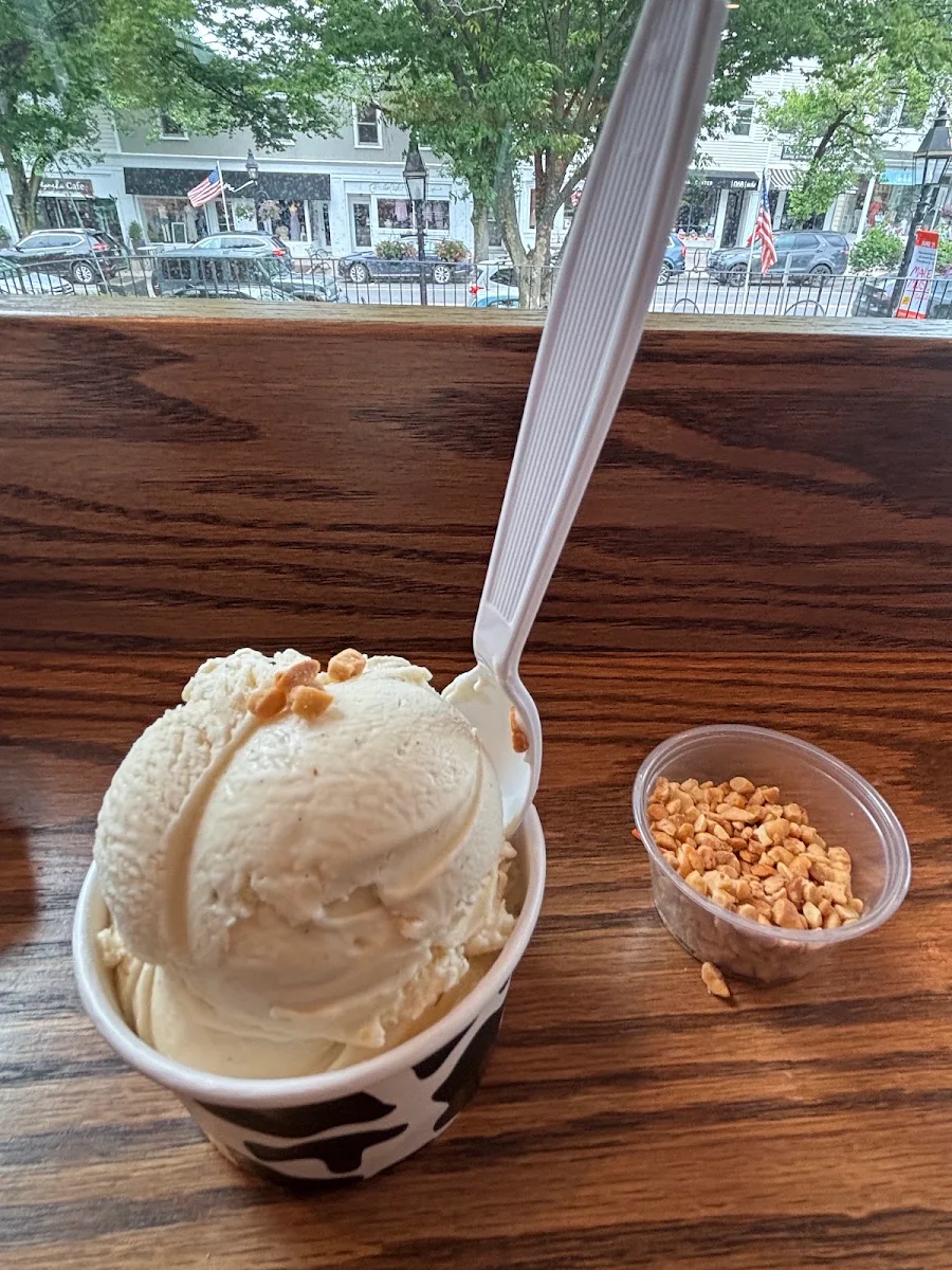 Coconut Ice Cream