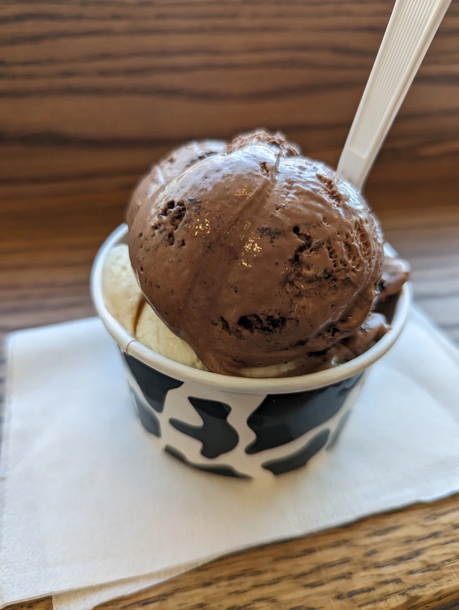 Dairy-Free Ice Cream Single Scoop