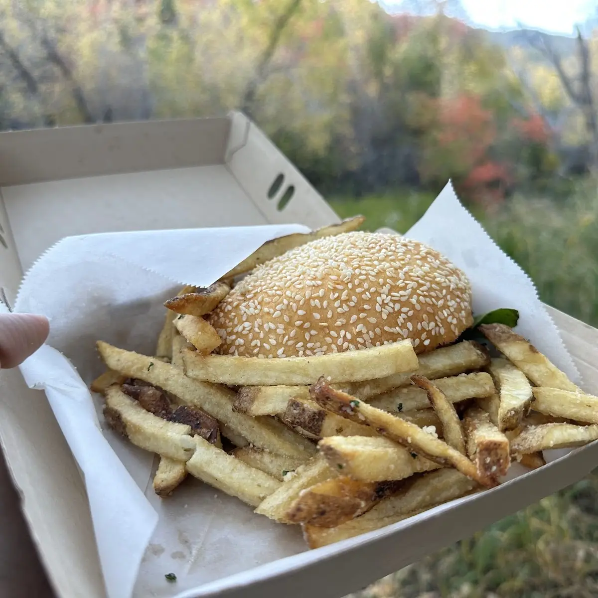 Garlic Parmesan Fry