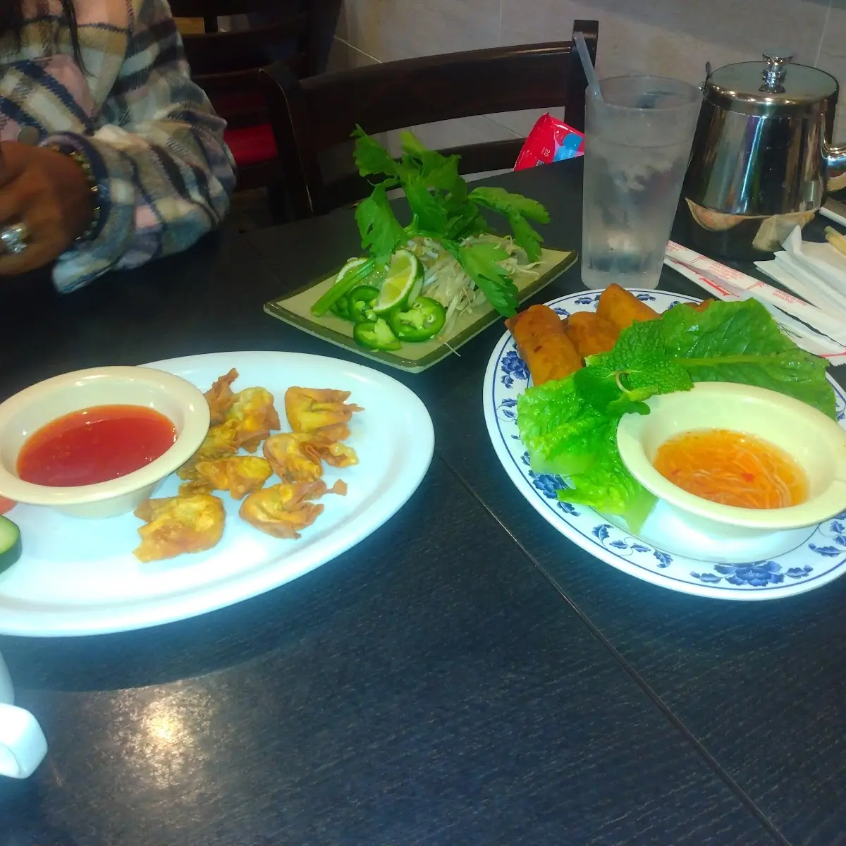 Pork Fried Wontons & Spring Rolls