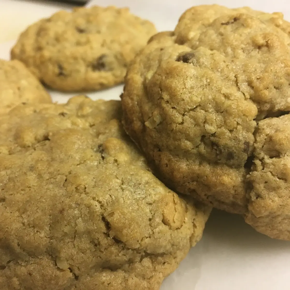 Peanut Butter Chocolate Chip Cookie