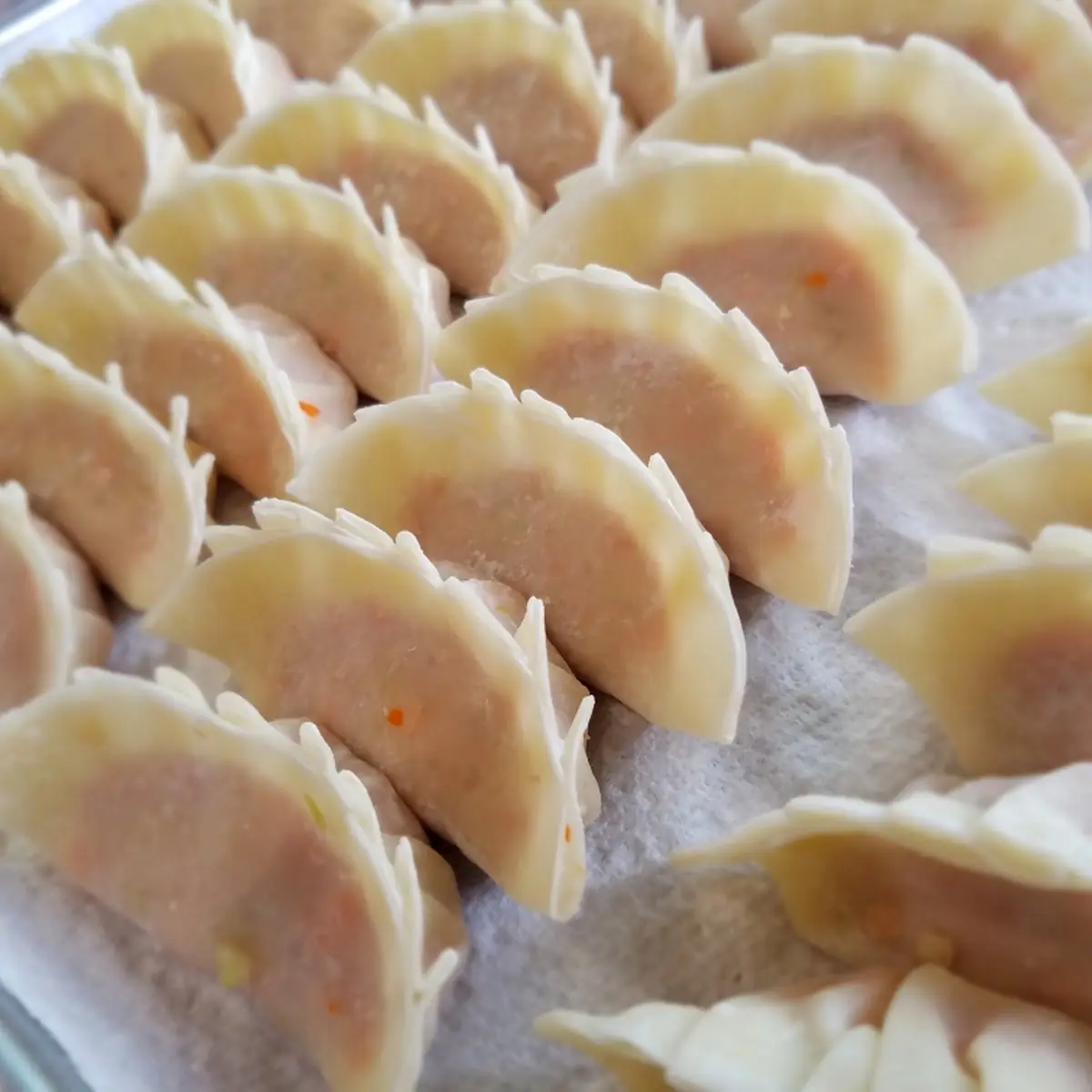 Gyoza Pork