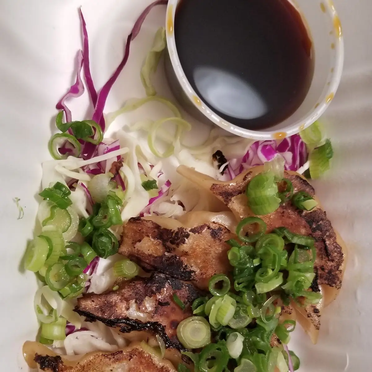 Pork Gyoza