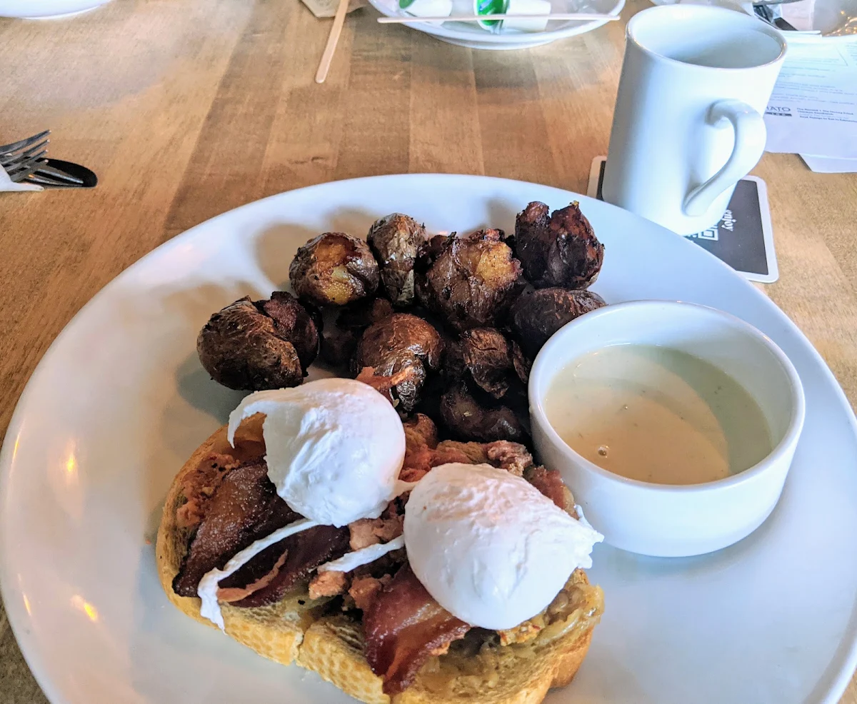 Eggs Benedict, Central Social Hall
