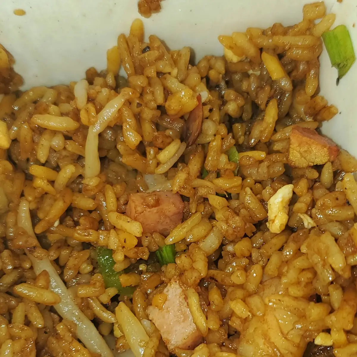 Special Fried Rice