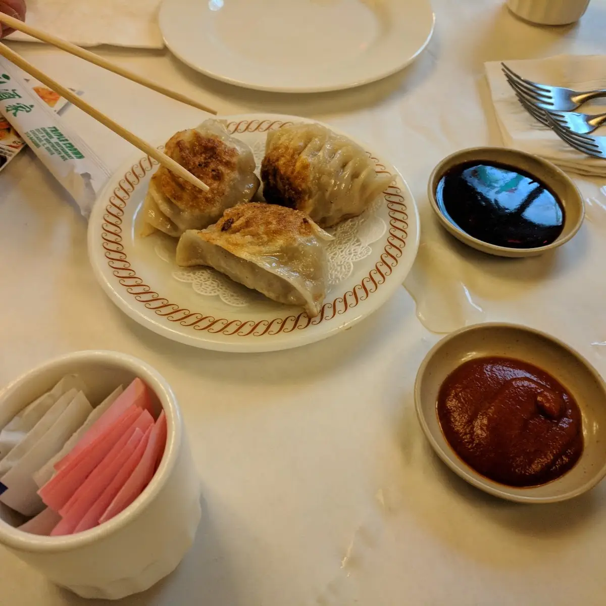 Pot Stickers