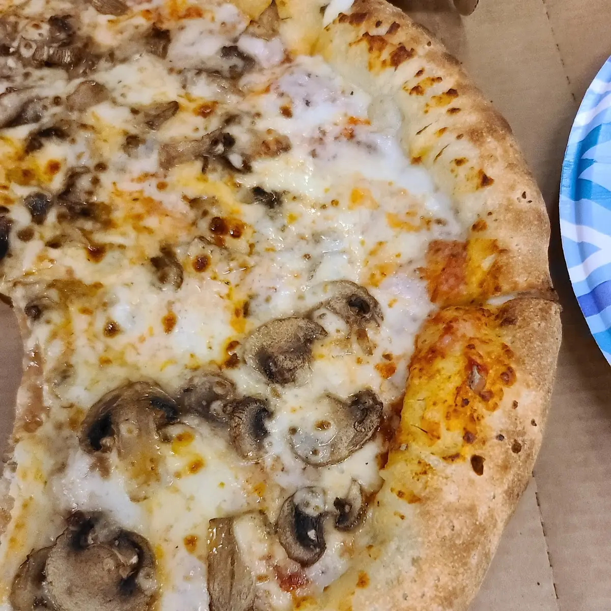 Mushroom Pizza