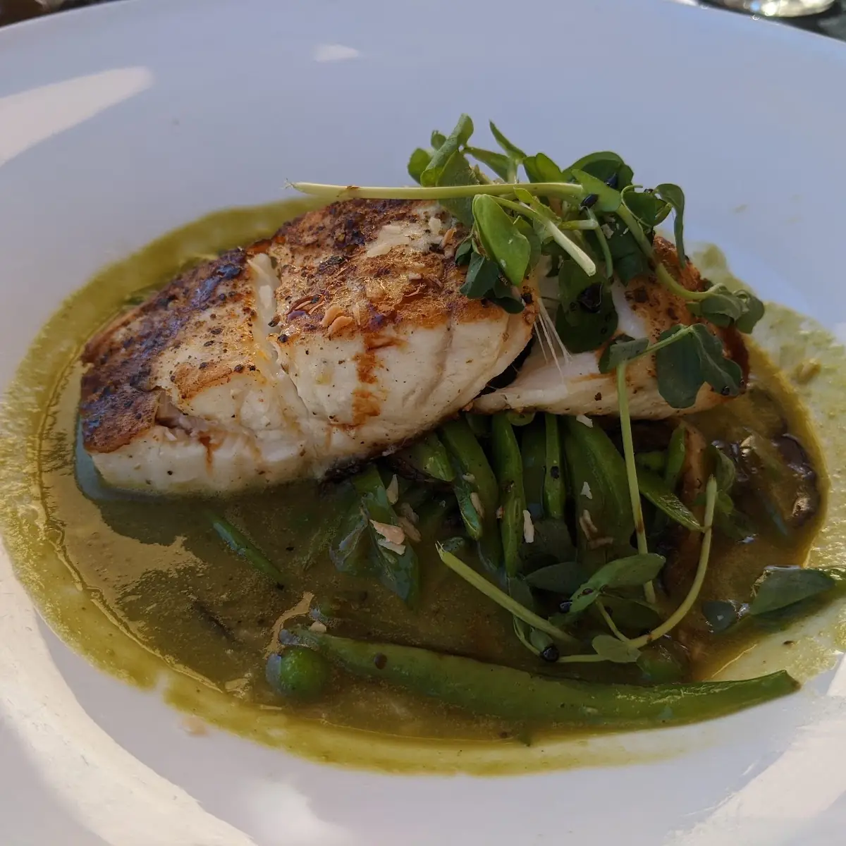 Sea Bass