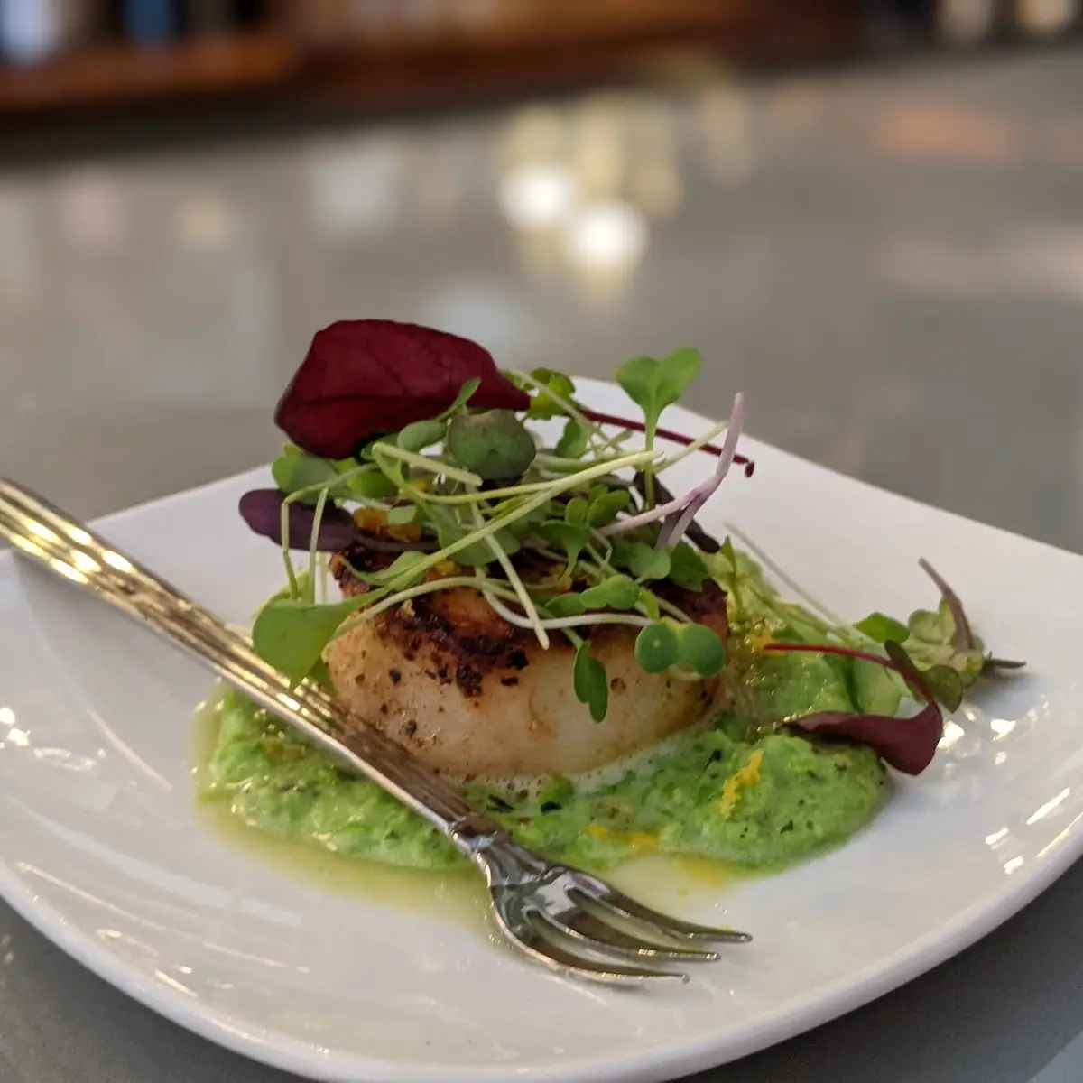 Pan Seared Sea Scallope 3400