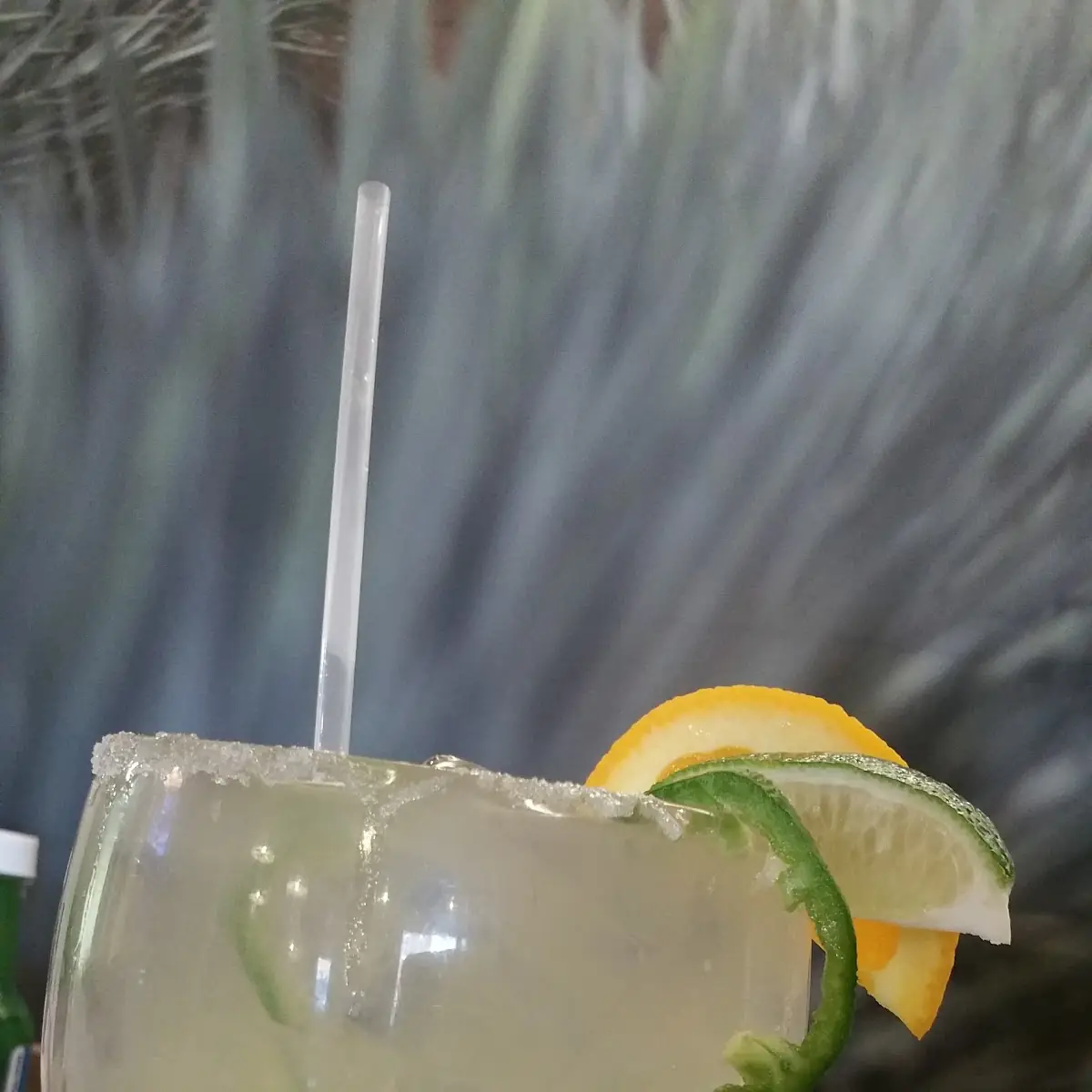 House Margaritas