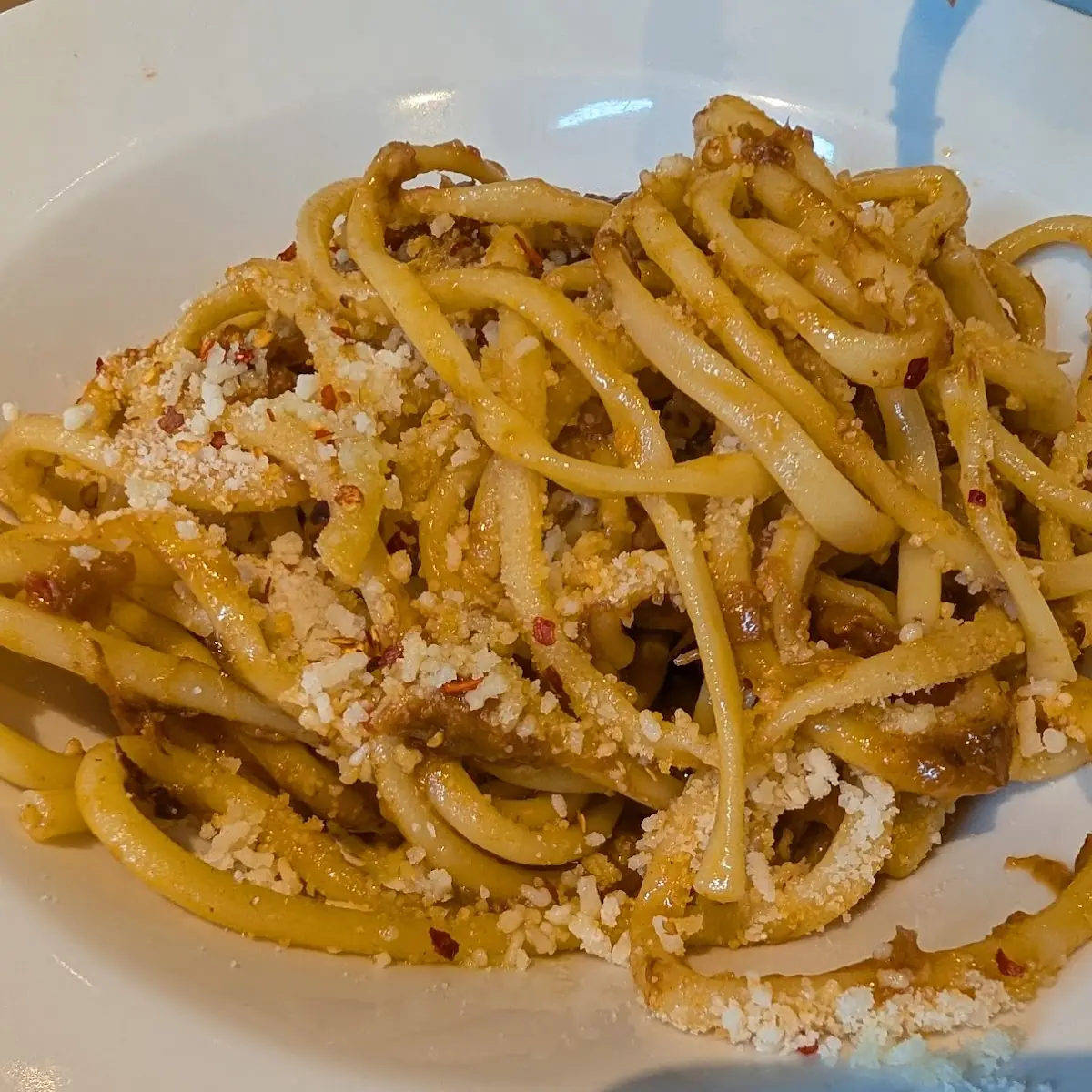 Short Rib Ragu