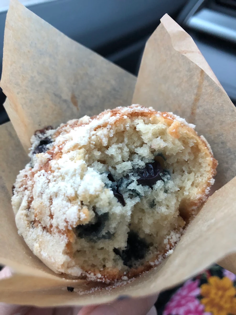 Blueberry Muffin