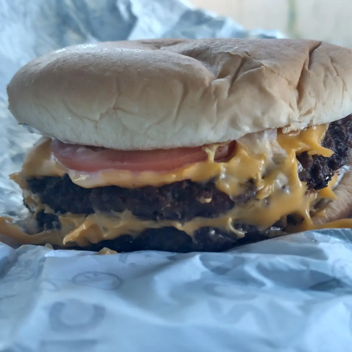 Double Cheeseburger