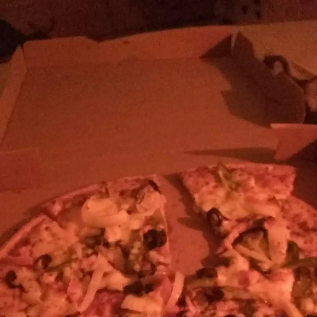 Thin Crust Garden Pizza