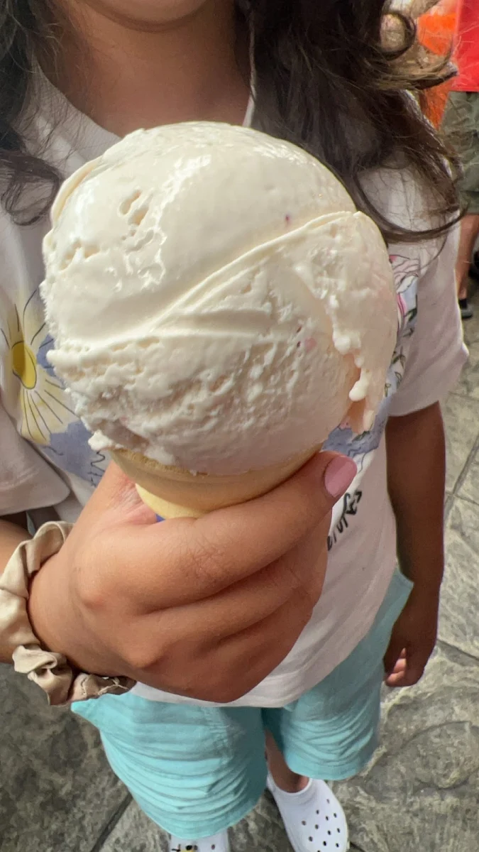 Vanilla Ice Cream