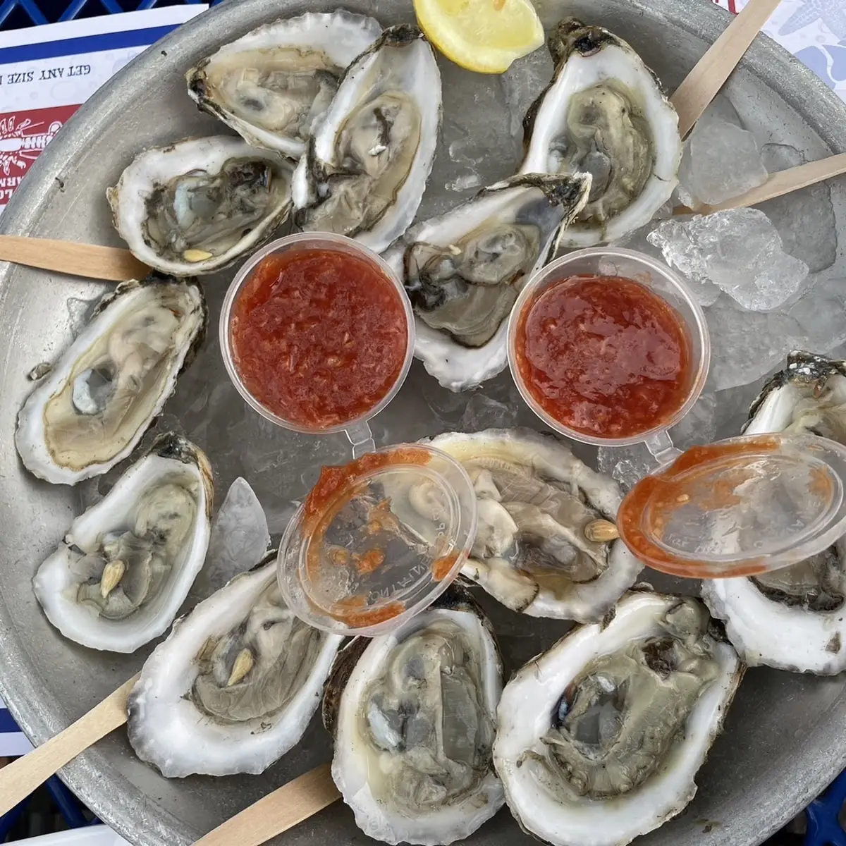 1 2 Dozen Oysters