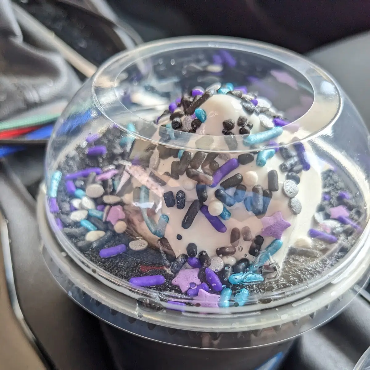 Blackout Slush Float April 8th 2024 Solar Eclipse