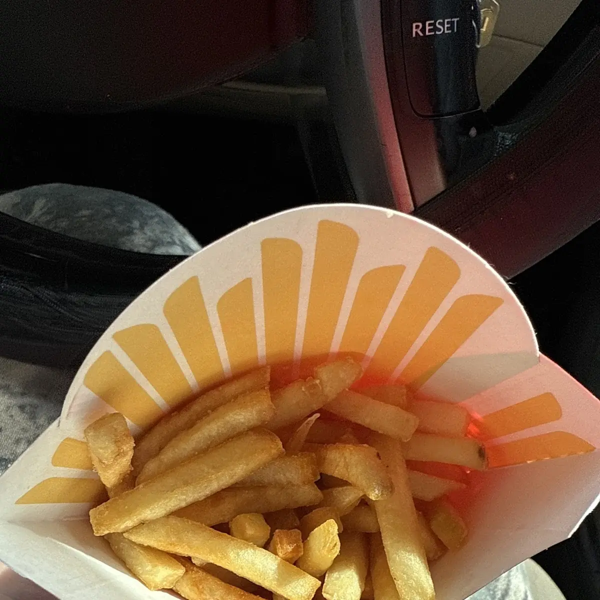 World Famous Fries