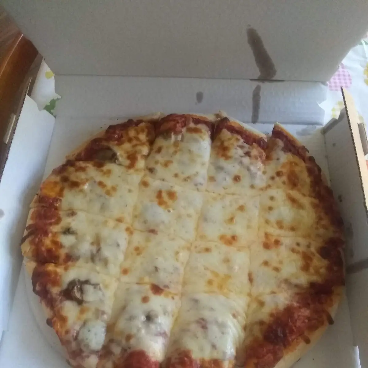 Cheese and Mushroom Pizza