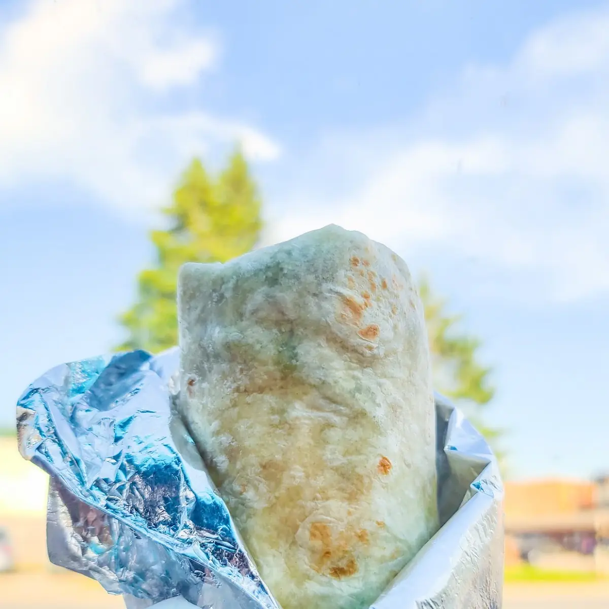 Veggie Burrito