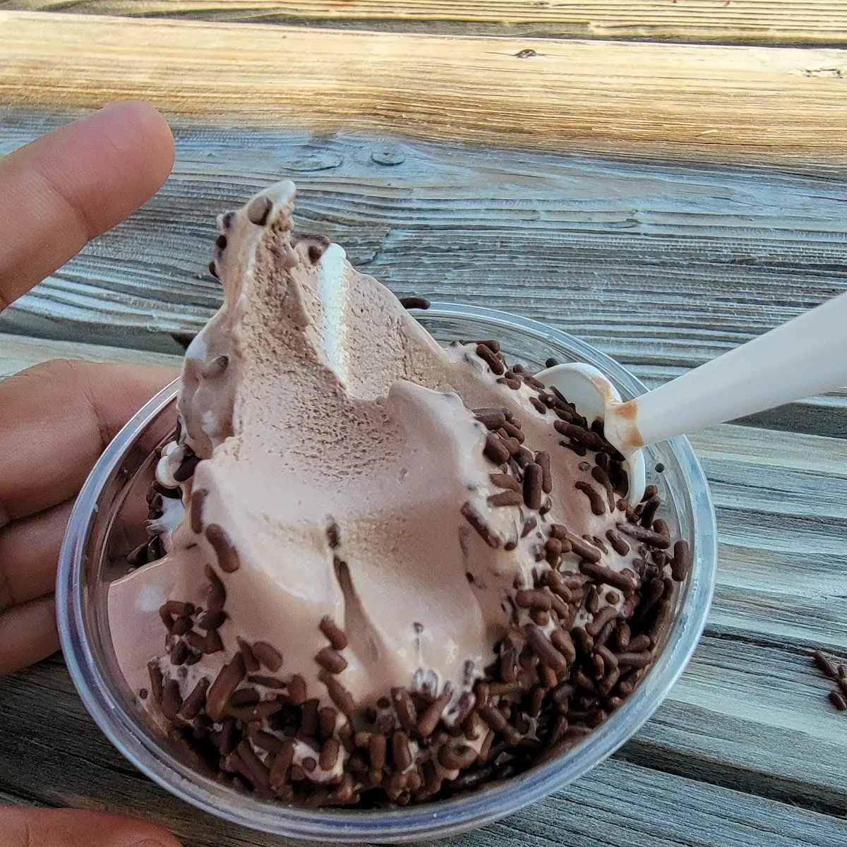 Chocolate Ice Cream