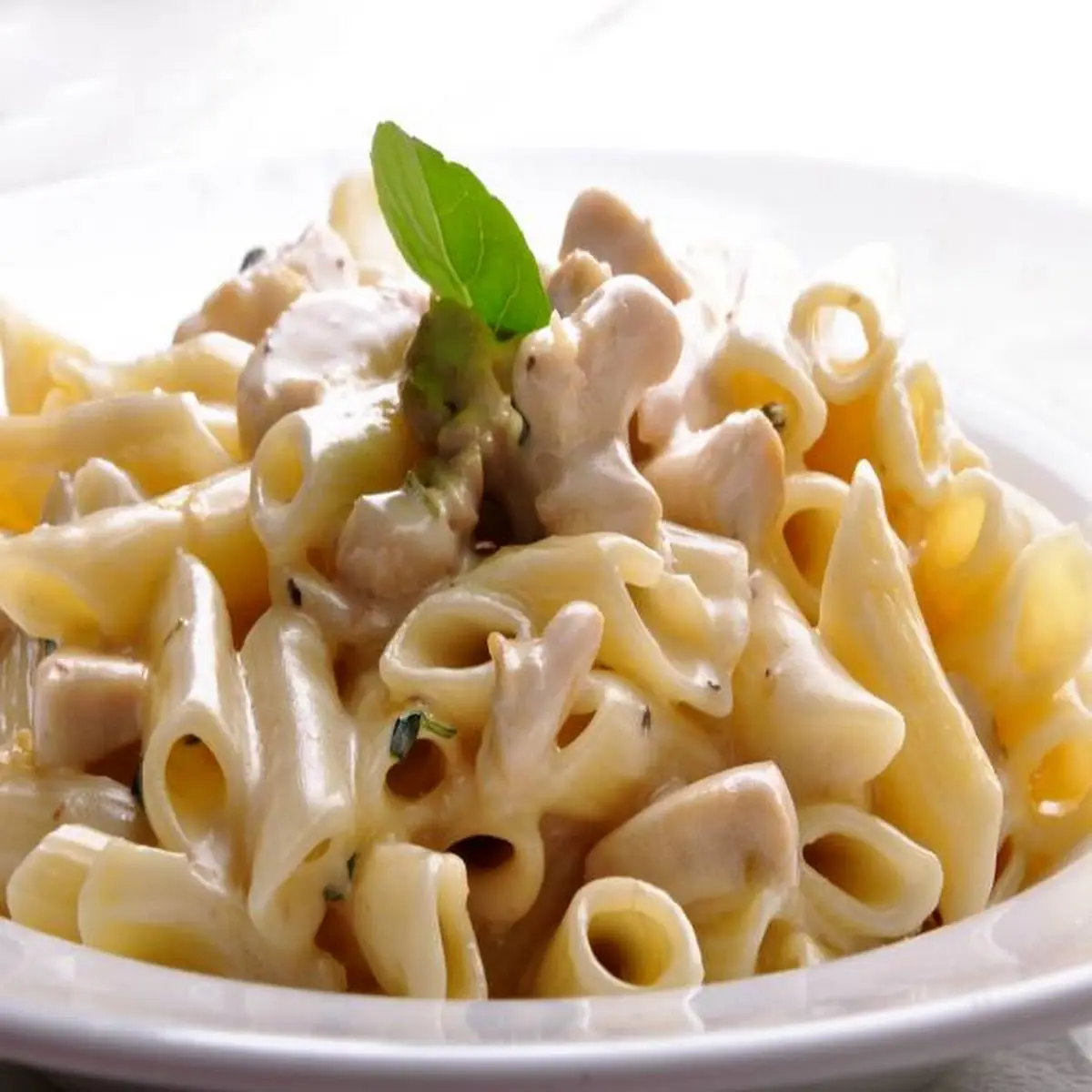 Alfredo Pasta