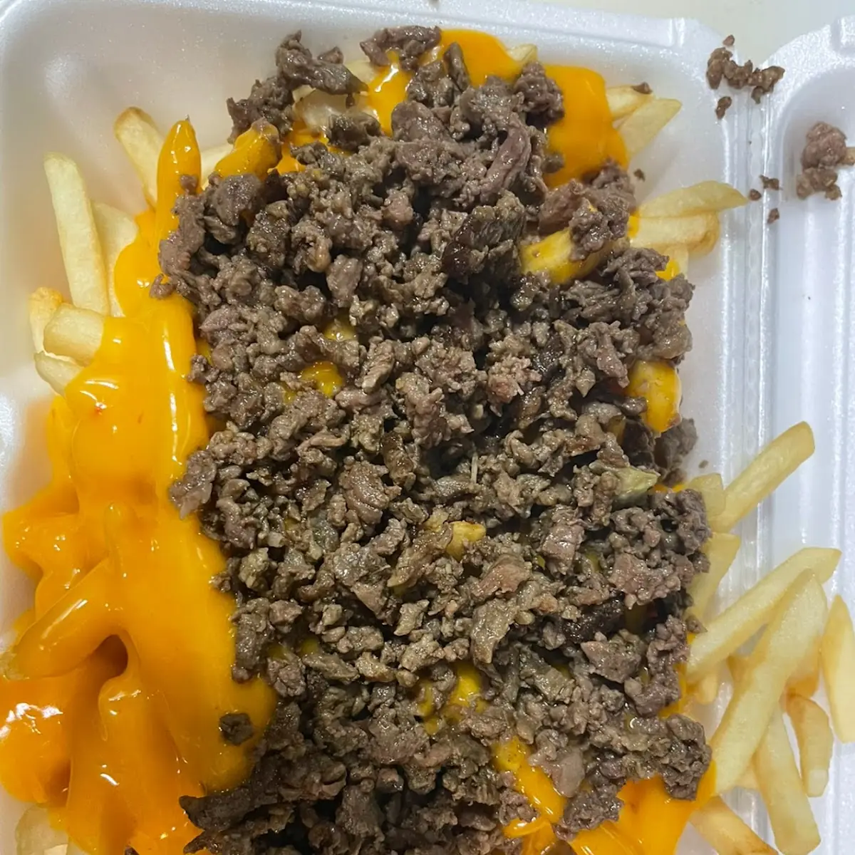 Carne Asada Fries