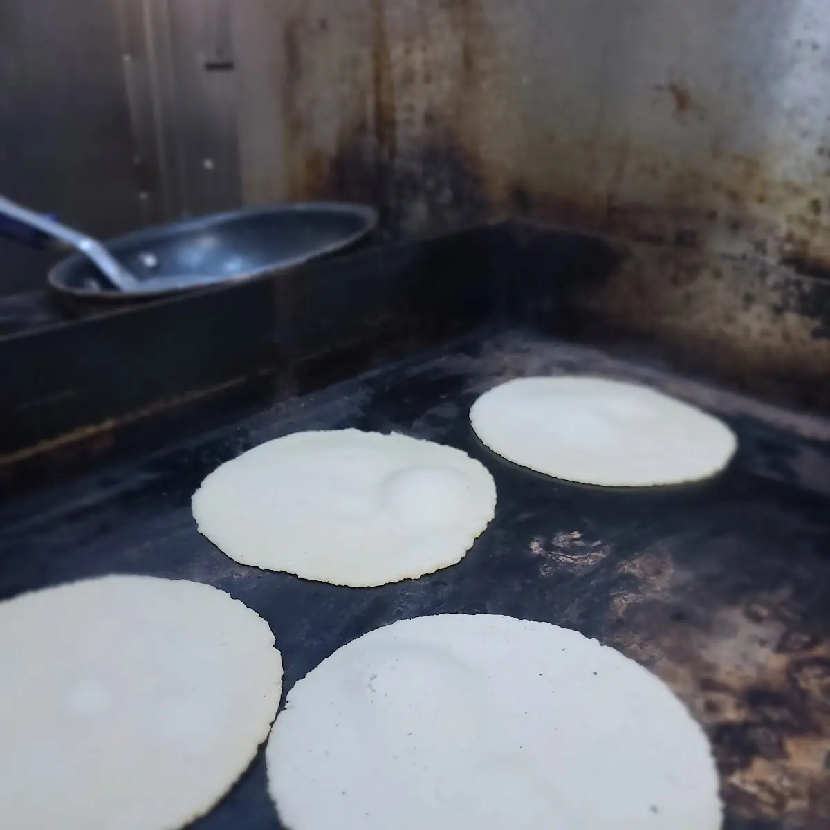 Tortillas Corn or Flour