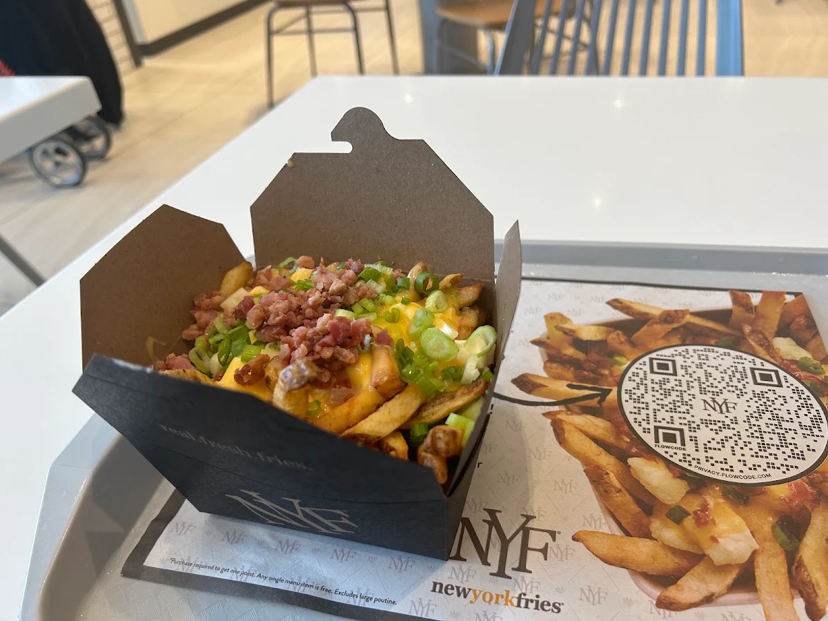 The Works French Fries with Cheese, New York Fries Halifax Shopping Centre