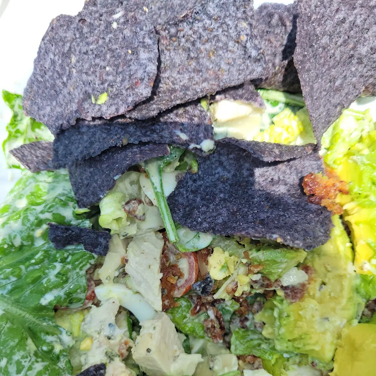Chicken Caesar Salad