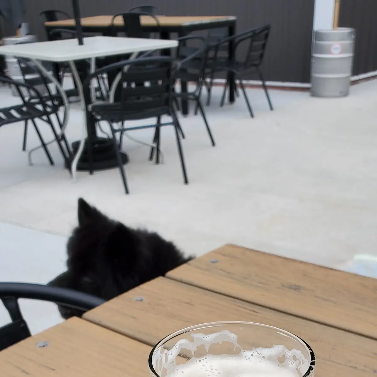 Cold Brew