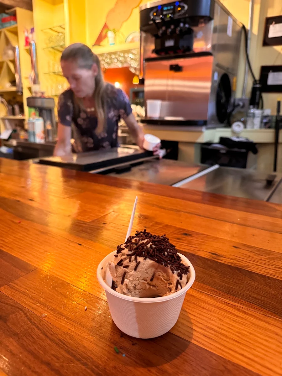 Chocolate Ice Cream
