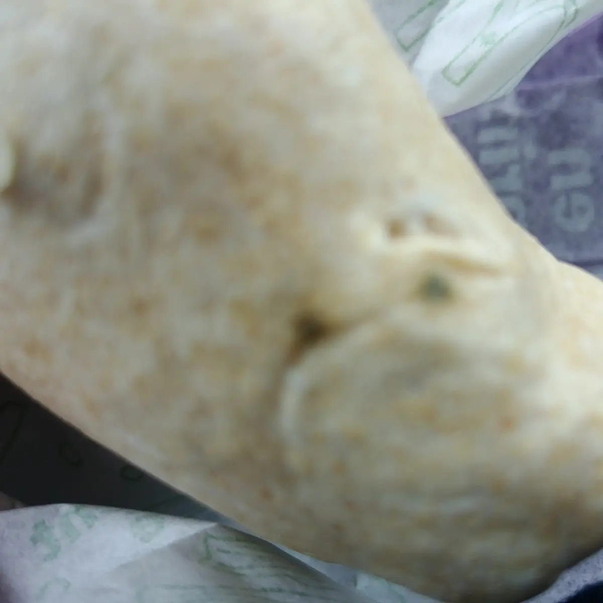 Moldy Chicken Wrap