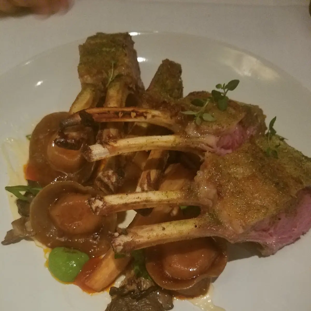 Lamb Chops