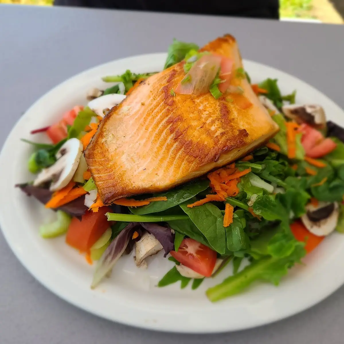 Grilled Salmon Salad