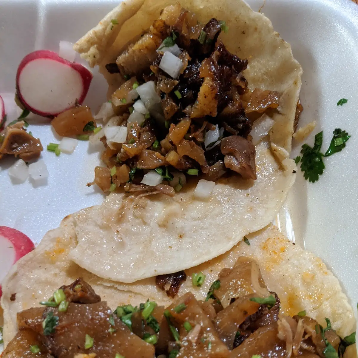 Carnitas Taco