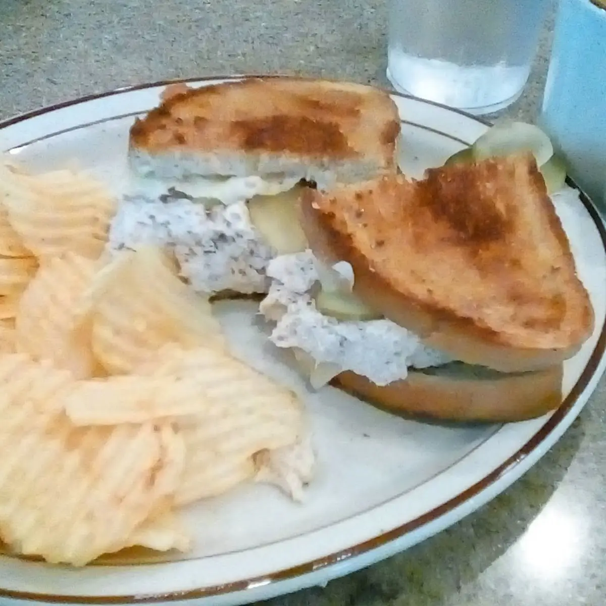 Tuna Melt & Chips